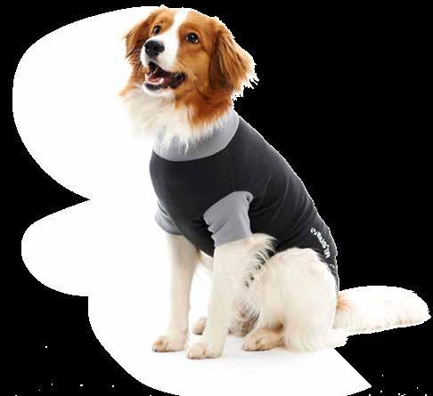 KRUUSE I Postoperative Care BUSTER Body Suit The BUSTER Body Suit is available in a version for dogs and a version for