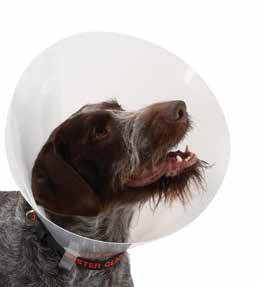 No Description 273391 BUSTER Transparent Dog Collar 7.5 cm, 10/pk 273392 BUSTER Transparent Dog Collar 10 cm, 10/pk 273393 BUSTER Transparent Dog Collar 12.