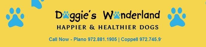 The waitresses bring the dogs water and treats and really make the dogs feel welcome. This way the dogs get out and are able to socialize and so are you. It is a win win situation for everyone.