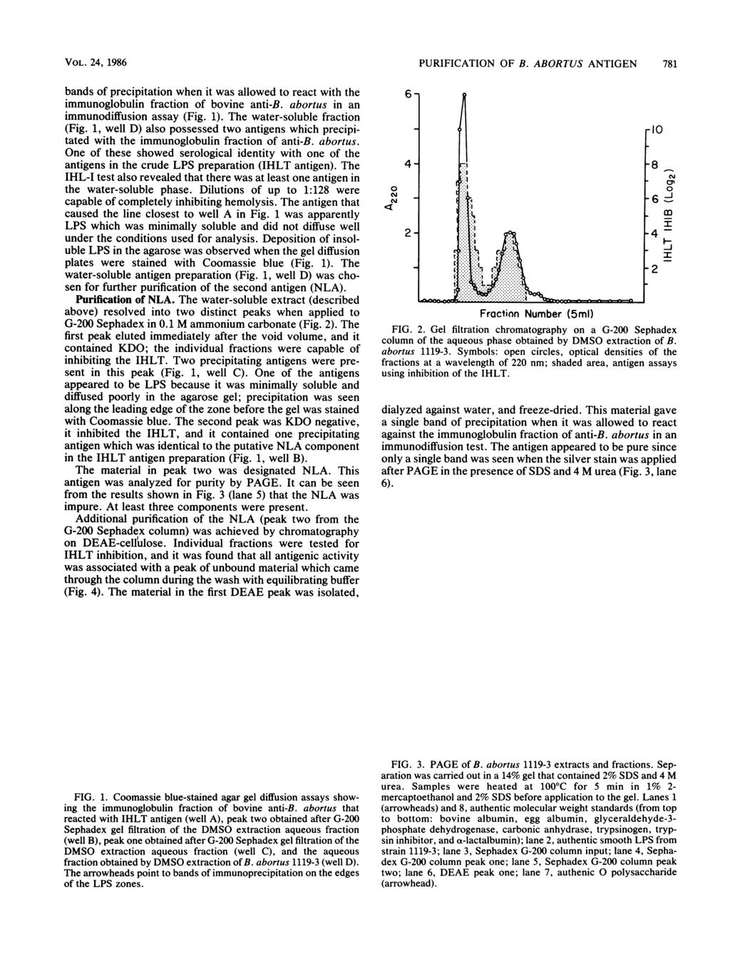 VOL. 24, 1986 bands of precipitation when it was allowed to react with the immunoglobulin fraction of bovine anti-b. abortus in an immunodiffusion assay (Fig. 1). The water-soluble fraction (Fig.