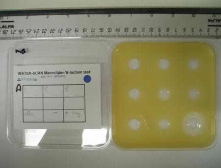 The tests Different agar compositions were used with different bacteria strains, antibiotic