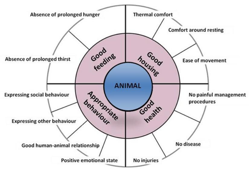 Chapter 1 General introduction Figure 2 - The four Principles and 12 animal-based Criteria used as guidelines for good welfare according to the Welfare Quality project (from EFSA Panel on Animal