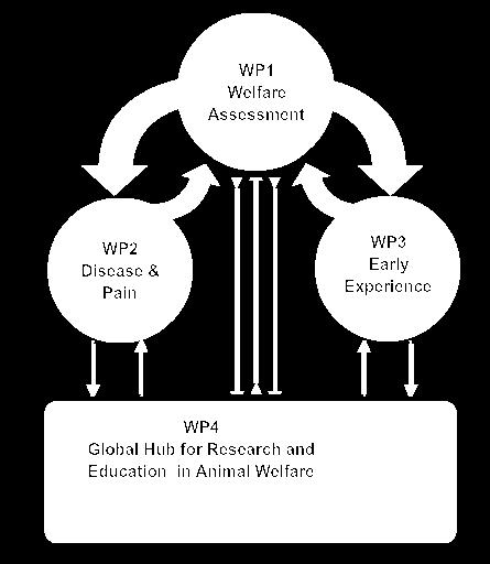 Chapter 1 General introduction Figure 4: Overall organization of the AWIN project.