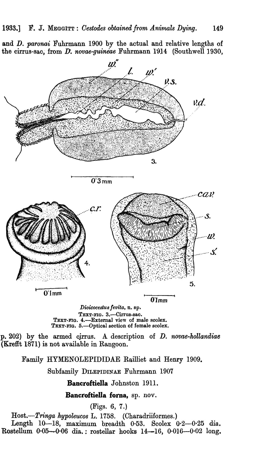 1933.] F. J. MEGG1TT: Oestodes obtained from Animals Dying. 149 and D. paronai Fuhrmann 1900 by the actual and relative lengths of the cirrus-sac; from D.