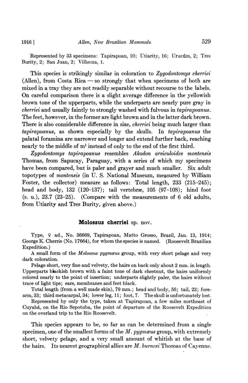 1916 ] Allen, New Brazilian Mammals. 529 Represented by 33 specimens: Tapirapoan, 10; Utiarity, 16; Urucdim, 2; Tres Burity, 2; San Juan, 2; Vilhema, 1.