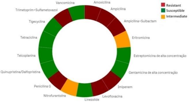 Figure 2. HAITool's microorganism resistance patterns visualization through a donut chart. 5.
