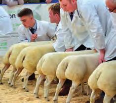 The UK s Leading Livestock Marketing Company Operating Sale Centres at Borderway Carlisle, Lockerbie, Newcastleton, Kirkby Stephen, Lazonby, Middleton-in-Teesdale, Broughton-in- Furness, Newtown St.