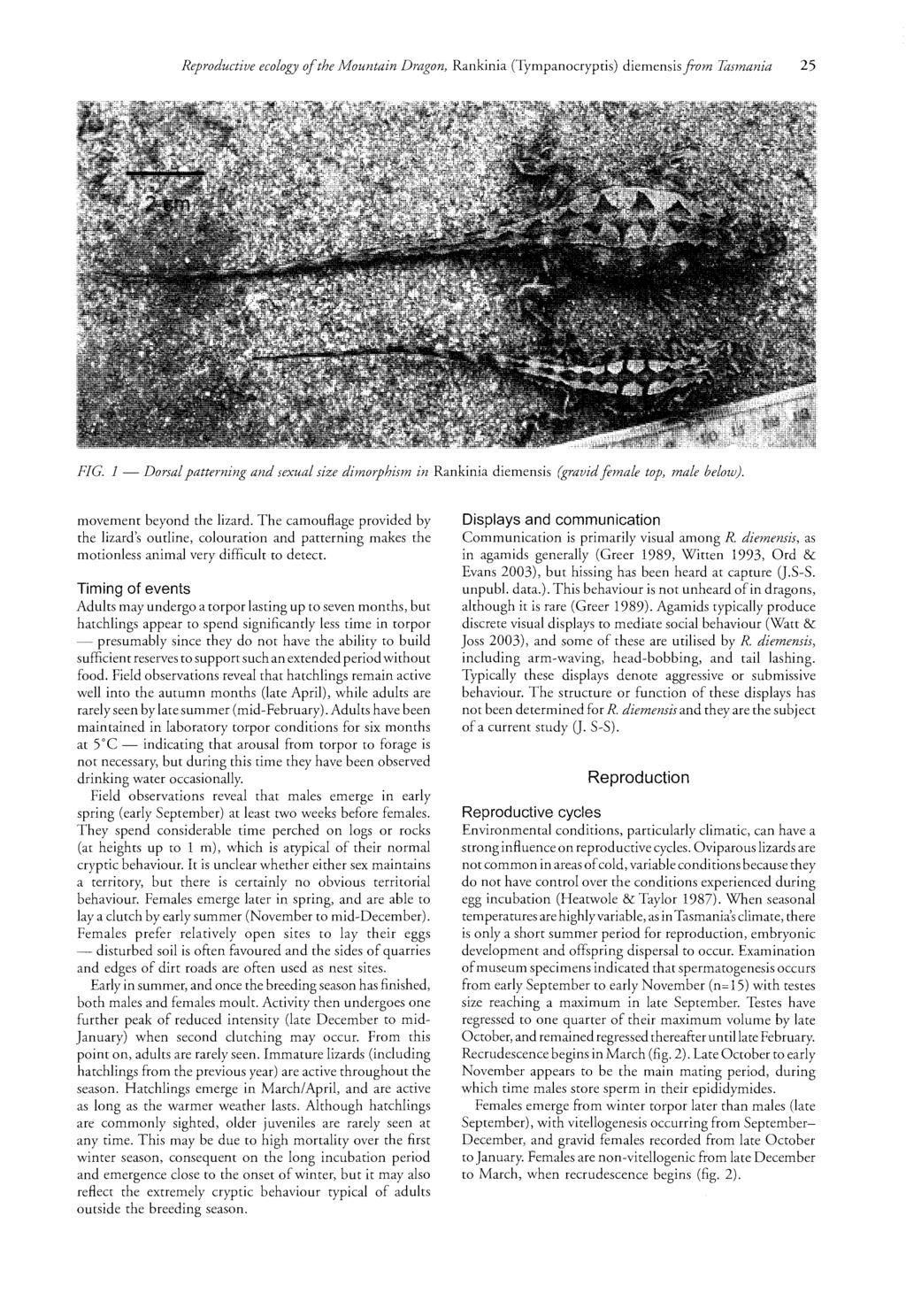 Reproductive ecology of the 1I10untain Dragon, Rankinia (Tympanocryptis) diemensis foom Tasmania 25 FIG.