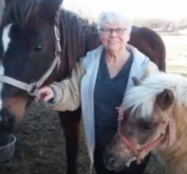 EMS / DIABETES / NEUROPATHY IN HORSES My mother has a mini horse named Tandy that has been diagnosed with Equine Metabolic Syndrome (EMS) which is more or less diabetes in horses.