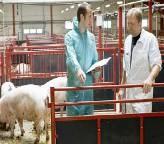 Other initiatives Vets may prescribe - but not sell antibiotics