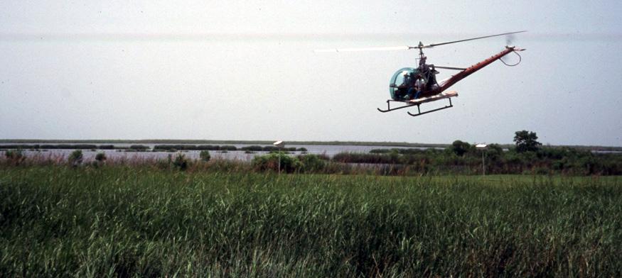 Figure 2. Helicopters are used to find and mark a GPS location of alligator nests. on the ground in locating the nest.