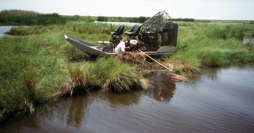 Ground crews use airboats in marsh habitats to access points marked by GPS (Fig. 3).
