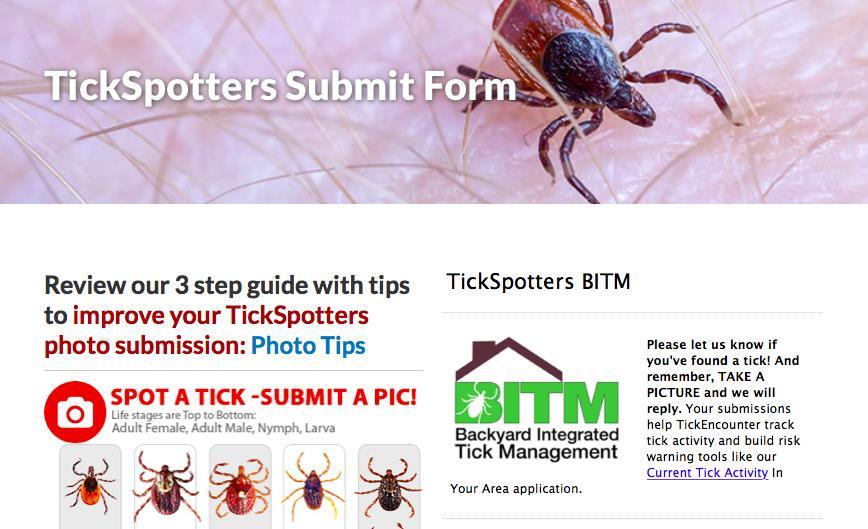 Ticks detected on humans/pets submitted