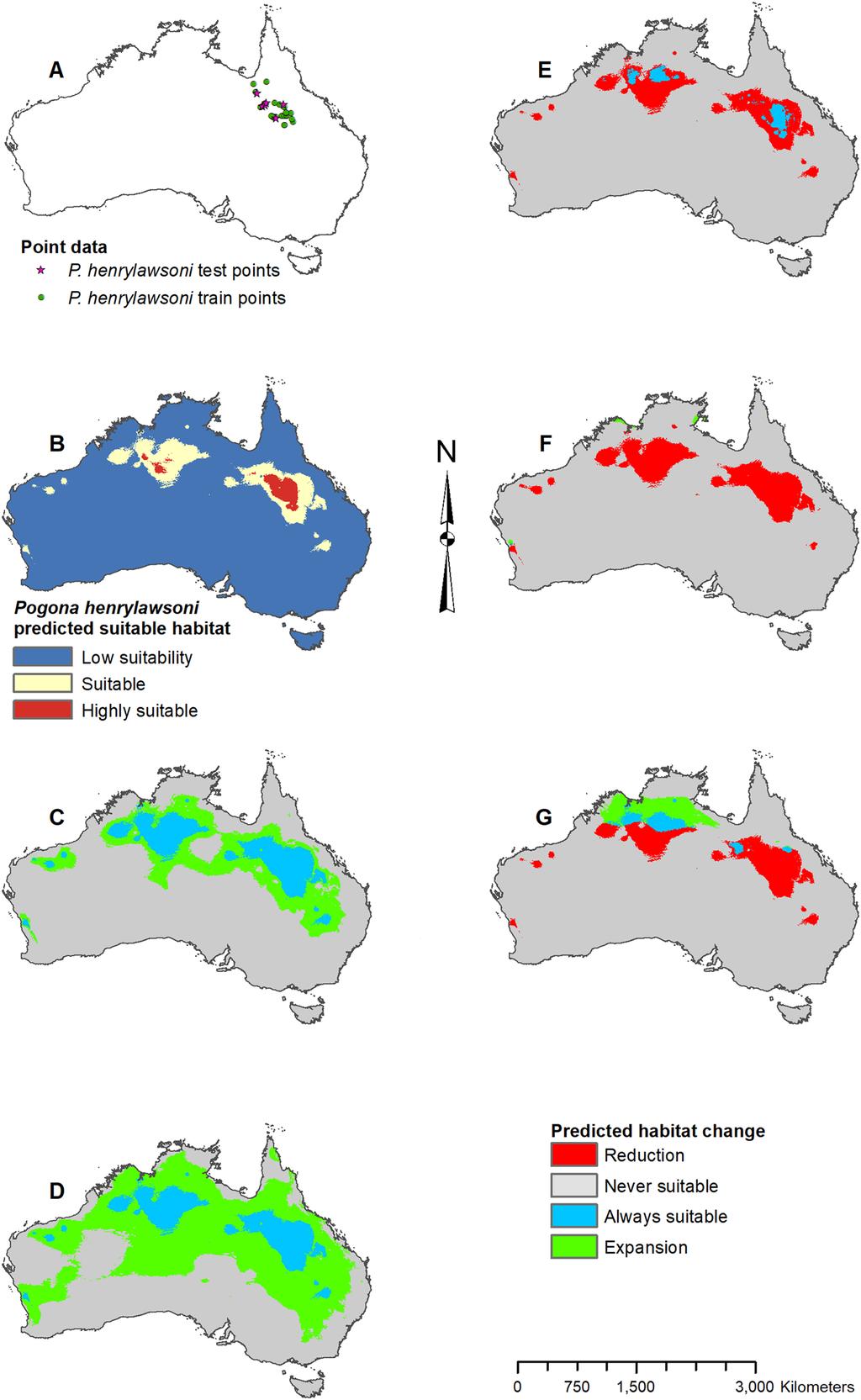 Figure 4 Result maps for Pogona henrylawsoni. (A) Test and train point distribution. (B) Current predicted areas of suitable habitat where highly suitable is >30.