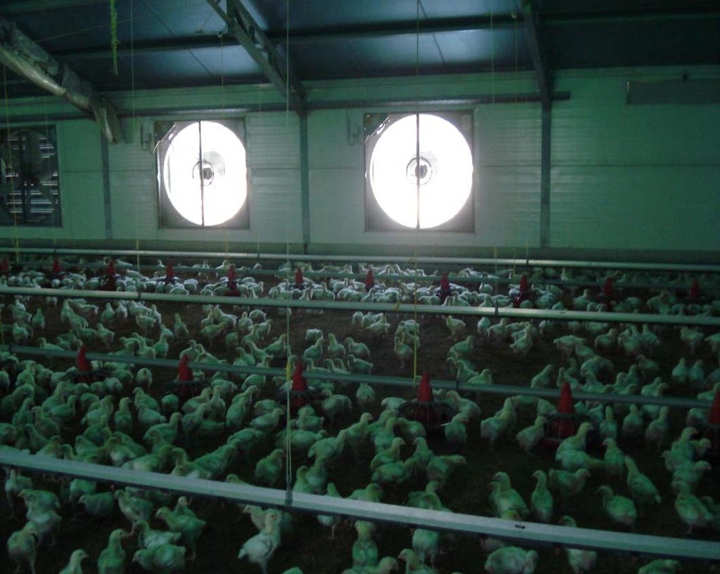 Materials and Methods 132 broiler farms