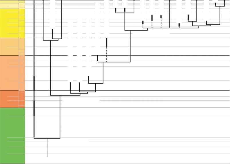 FIGURE 6. The stratigraphic and biogeographic distribution of valid kinosternid taxa. Black lines indicate temporal distribution based on type material, including select extant taxa for reference.
