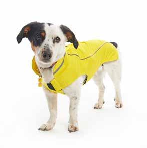 21 BUSTER Outdoor Raincoats The BUSTER raincoat is made from water and windproof material, which is both breathable and durable.