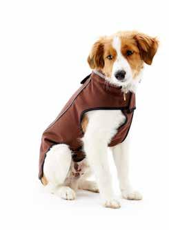 22 CLOTHING BUSTER Outdoor Softshell The windproof and water-resistant BUSTER Softshell jacket is ideal for your dog to keep it warm and dry when the weather is rainy and cold.