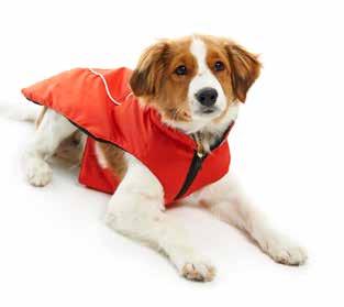 BUSTER Outdoor Winter Jackets The BUSTER winter jacket offers perfect protection of your dog in extreme winter conditions. The shell material makes the jacket fully water and windproof.