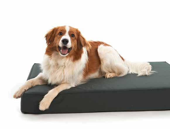 36 BEDS Oval Sofa Cocoon BUSTER Dog Beds - Beluga Green The fashionable design of the BUSTER Premium Bed collection is inspired by the 2014/2015