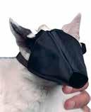 muzzle with leather strap Dalmatian, Elkhound, German Shepherd, Pointer, Springer Spaniel No 6 272327 Metal dog muzzle with leather strap English Setter,