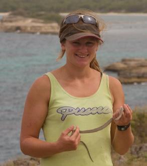 Havery et al. Density of skinks on Henderson Island in the South Pacific. Sarah Havery works as a Species Recovery Officer for the Royal Society for the Protection of Birds, Sandy, UK.