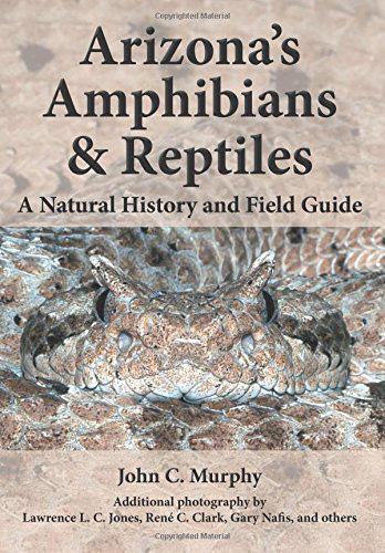 BOOK REVIEW Reptiles and Amphibians of Arizona, A Natural History and Field Guide Jason A. Fantuzzi, Herpetological Associates, Inc., 405 Magnolia Rd., Pemberton, NJ 08068; j.fantuzzi462@gmail.