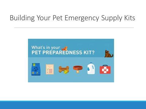 Slide 3 The 3 Steps to Take This presentation will show pet parents exactly what to do in case of a natural disaster.