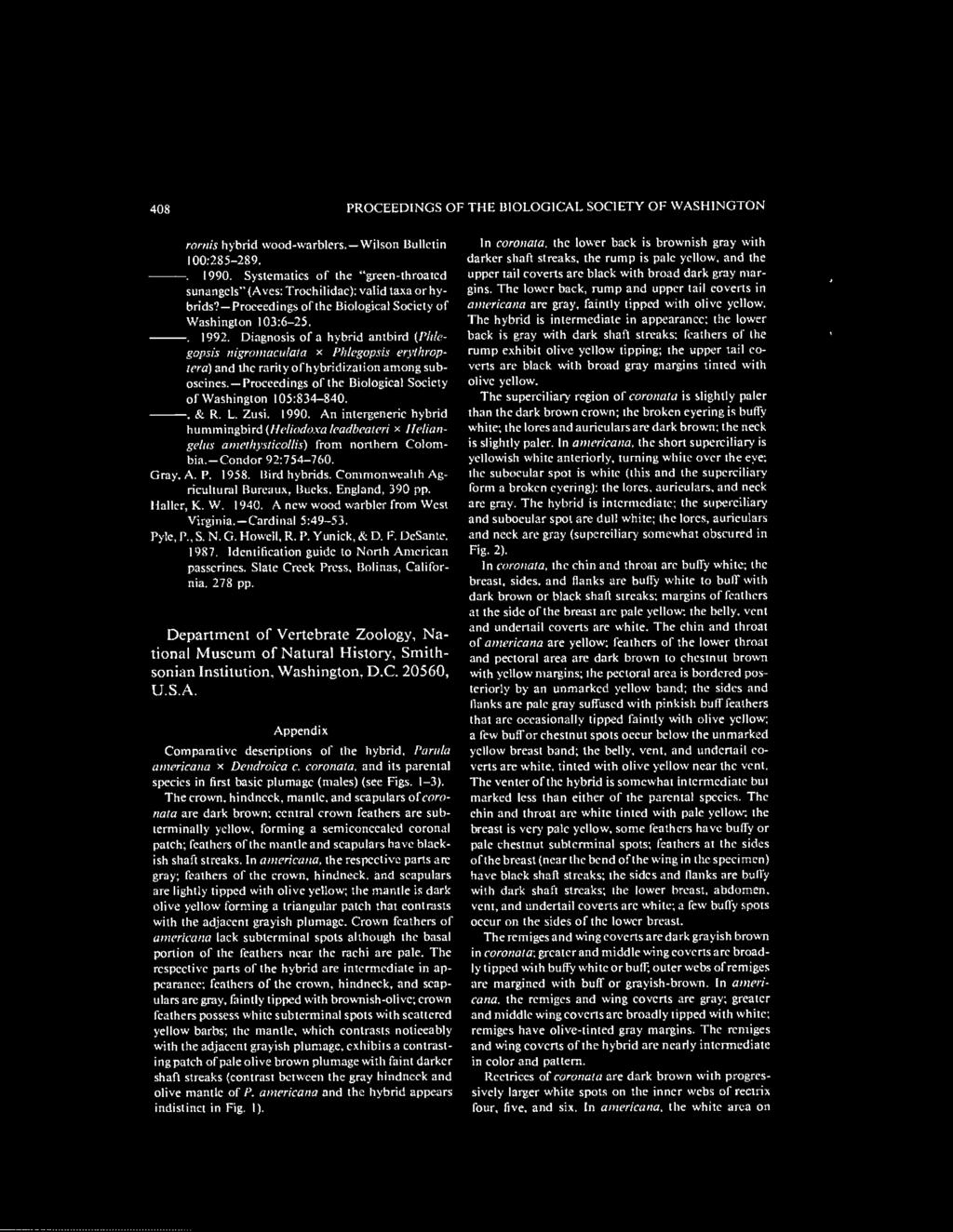 Diagnosis of a hybrid antbird {I'htegopsis nigromacuiata * Phlegopsis erythrop- /era) and the rarity ot hybridization among suboscines. Proceedings of the Biological Society of Washington 105:834-840.