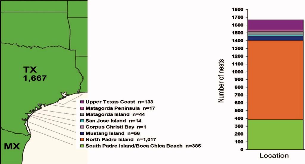 Boca Chica Beach. 277 Additionally, between 2015 and 2017, 605 (86.8%) of the 697 documented nests in Texas were found at North and South Padre Island and Boca Chica Beach.