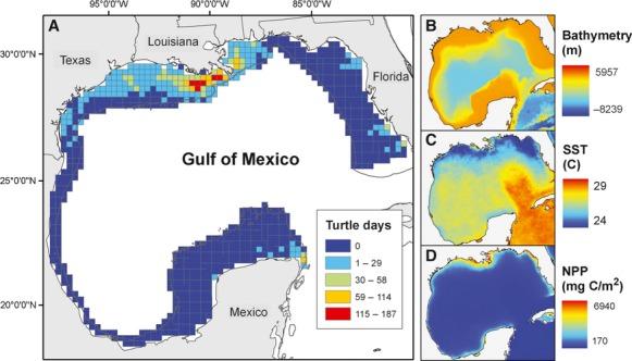 Figure 10 (A) Foraging habitat and environmental characteristics of foraging sites selected for N = 31 female Kemp's ridley turtles from 1998 to 2011.