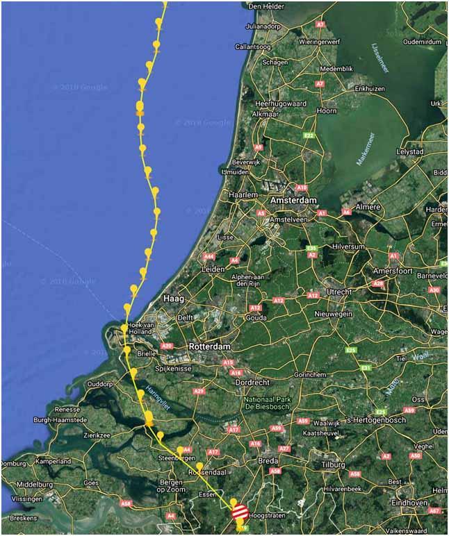 That flock of pigeons 1354A are in, goes northwest/north, and leave land for the sea where the river Rhine ends in the sea.