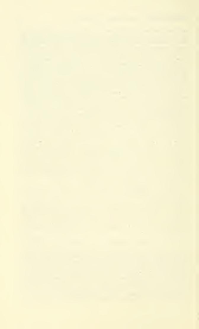 6 CHARLES P. ALEXANDER Vol. XXIX, No. 1 Frontal prolongation of head light gray above, brownish yellow laterally; palpi brownish black.