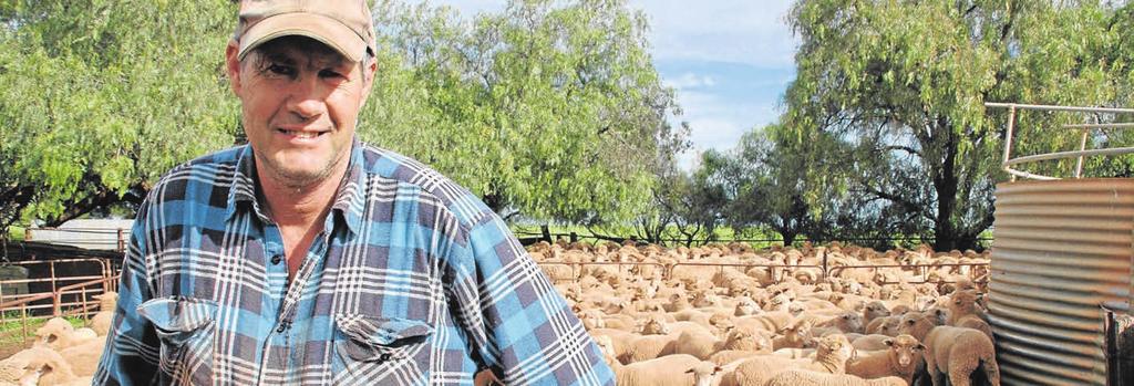 DOHNE MERINO SOUTH AUSTRALIA BY JACINTA ROSE S OUTH Australian farmer Colin Black first introduced Dohne rams to his livestock program about five years ago, and was immediately impressed with the