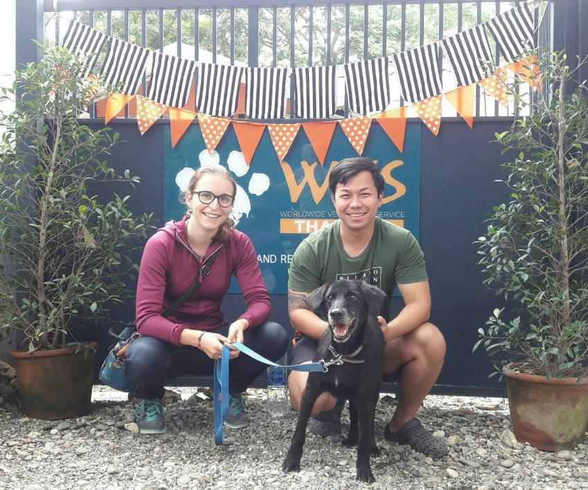 dog whose story was included in July s report, has been adopted by a lovely Thai-Farang couple.