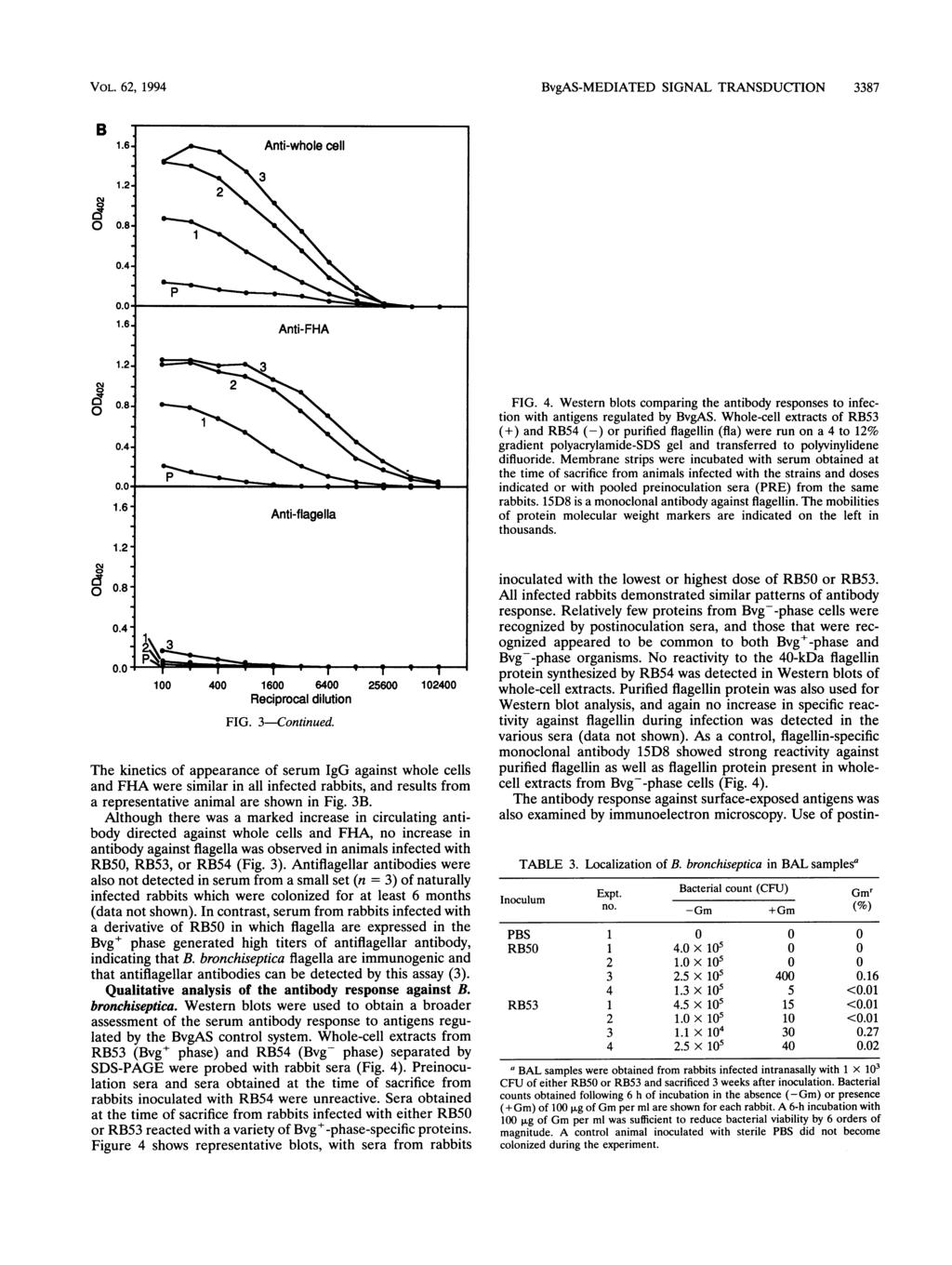VOL. 62, 1994 B 1.6- Anti-whole cell 1.2.8 2 1.6. 3Anti-eHA. 1.2..4-.8-.4. 3 4At 1~~~~ 1.6ibody agis lael asosranti-flagella 1.2. cm oi.8,.4. 1 4 16 64 256 124 FIG. Reciprocal dilution 3-Continued.