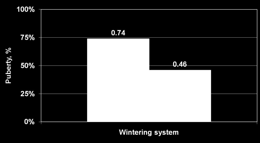 Effect of Wintering System on BW before Breeding, Exp. 1 P <.1 Effect of Wintering System on Puberty Status before Breeding, Exp. 1 P <.1 WR WR Effect of Treatment on ADG after Breeding, Exp.