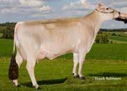 5 835p MGS: Etlar MGD: Stox Palmer Lilac VG-85 4-03 365d 2x 23470m 4.6 1079f 3.6 840p BSBA TYPE SUMMARY PPR +146 PTAT +0.50 89% UDC-0.03 MO+0.00 55 D 27 H +1.30 Tall +0.20 Strong +1.60 Open Rib -0.