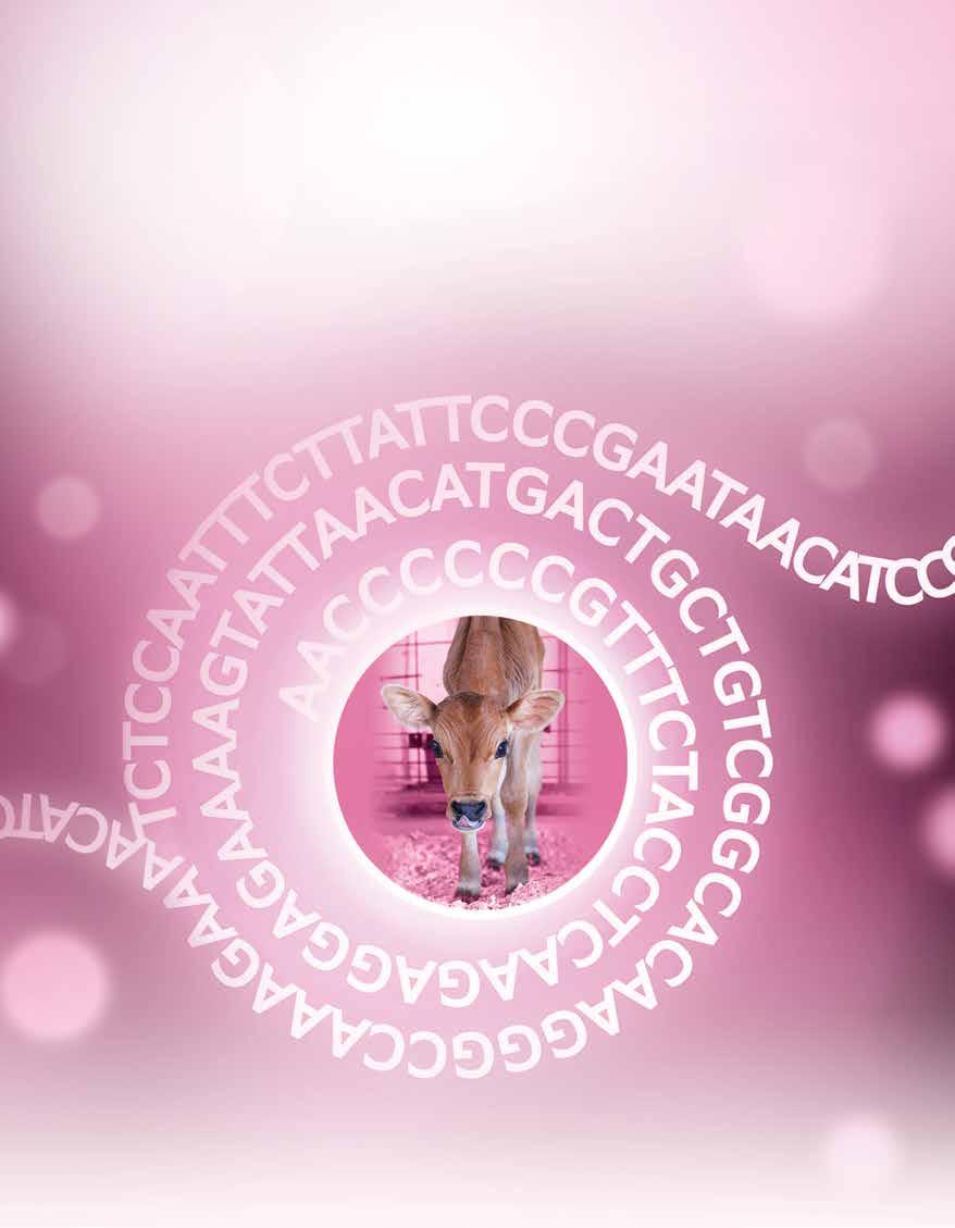 OUR LATEST INNOVATIVE HERD MANAGEMENT SOLUTION THE SCIENCE OF GENETICS THE ART OF MATING CUSTOMER SERVICE AND INTERNATIONAL SALES +1
