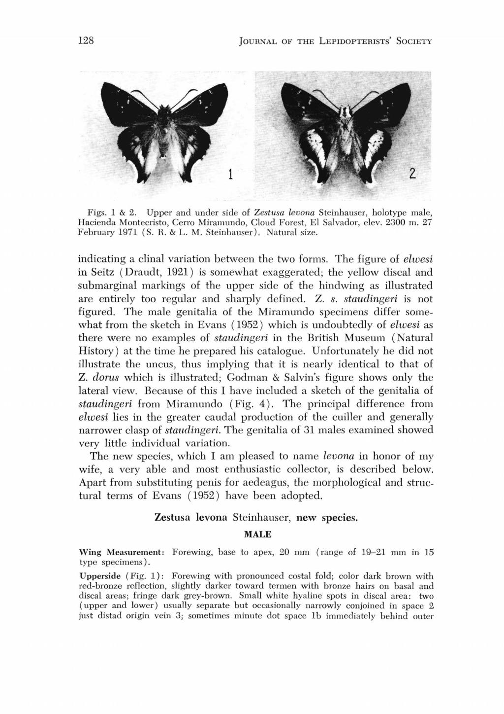 128 JOURNAL OF THE LEPIDOPTERISTS' SOCIETY Figs. 1 & 2. Upper and under side of Zesttlsa leuana Steinhauser, holotype male, Hacienda Montecristo, Cerro Miramundo, Cloud Forest, EI Salvador, elev.