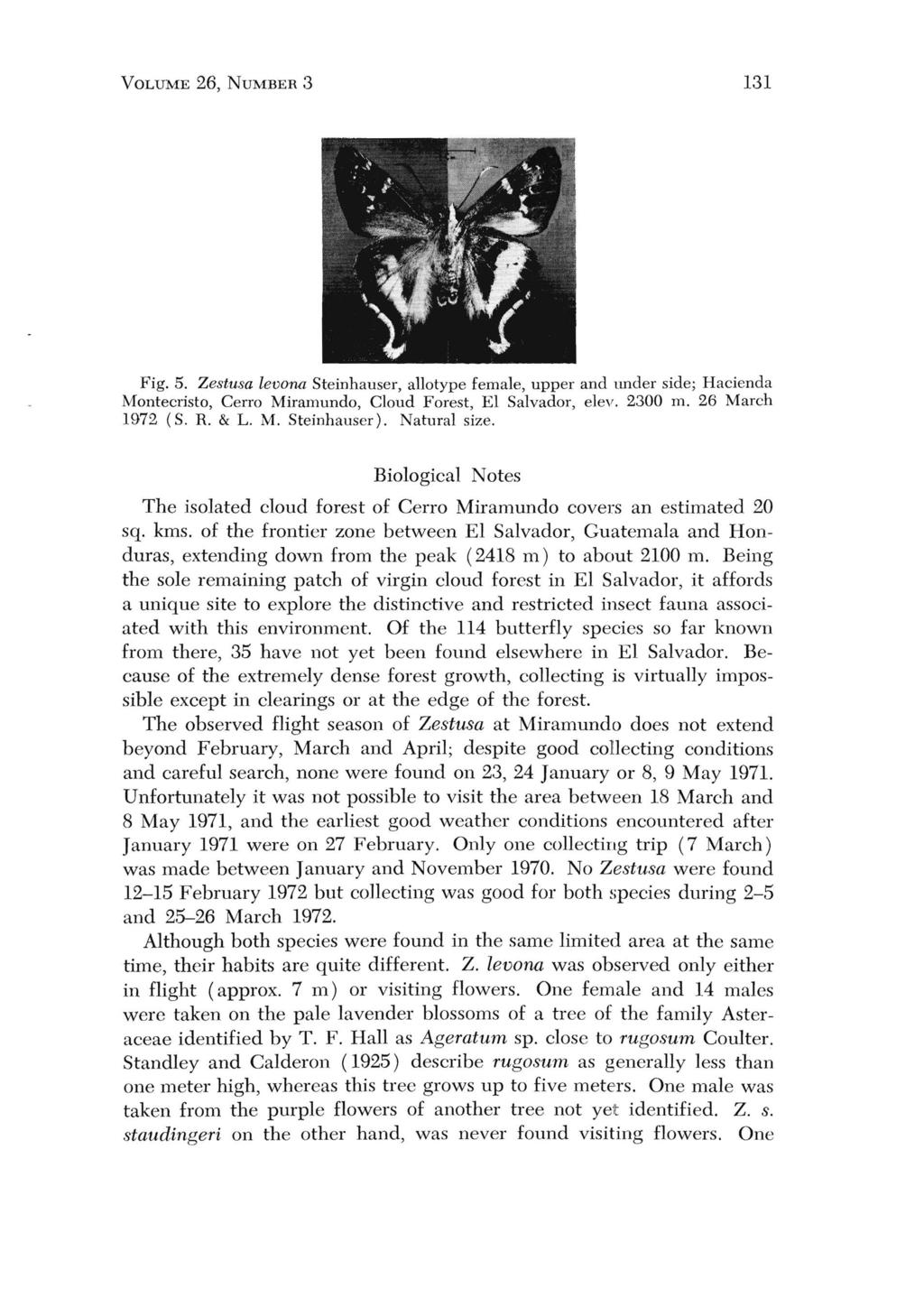 VOLUME 26, NUMBER 3 131 Fig. 5. Zestusa levona Steinhauser, allotype female, upper and under side; Hacienda Montecristo, Cerro Miramundo, Cloud Forest, El Salvador, elev. 2300 m. 26 March 1972 (S. R.