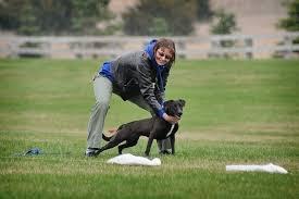 Lure Coursing FUN OPPORTUNITIES If you are interested