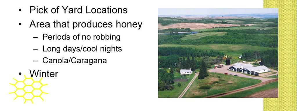 Advantages 5 th generation beekeeper who does it full time so I spend most days every day in hives learning and gaining more experience. I come from an area between North Battleford and Lloydminster.