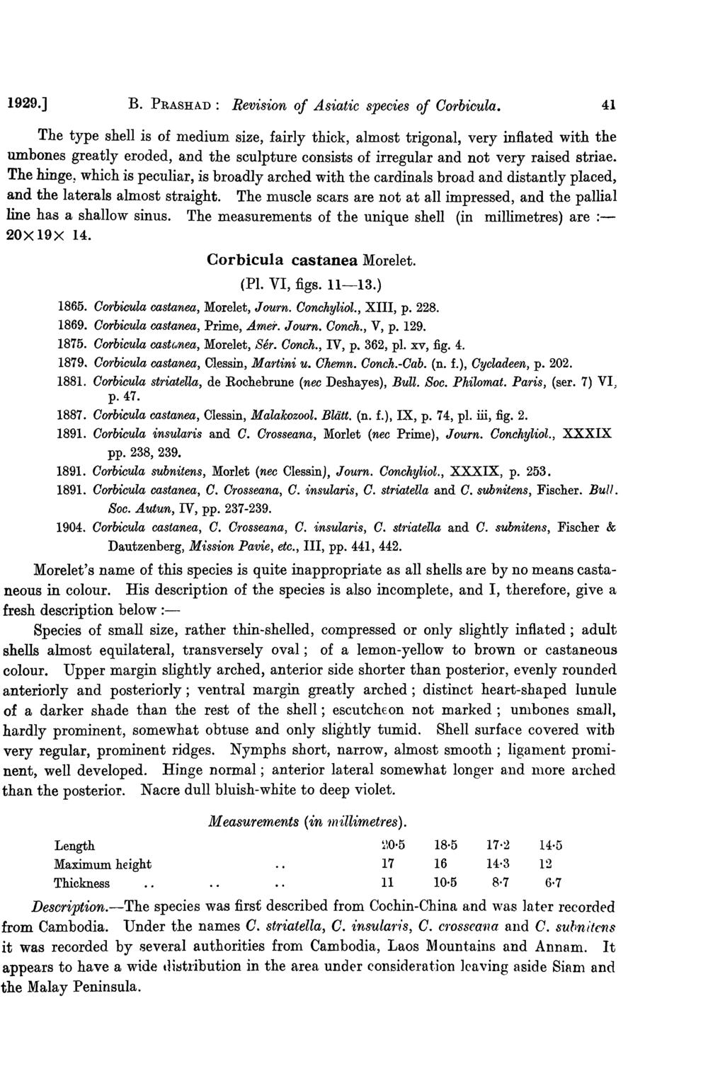 1929.] B. PRASHAD: Revision of Asiatic species of Corbicula.