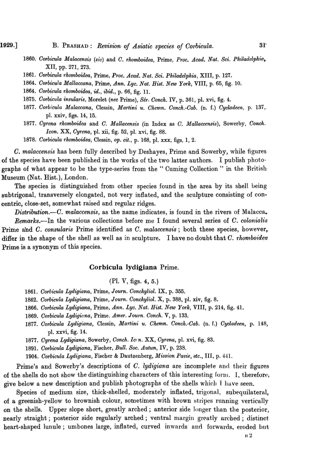 1929.] B. PRASHAD: Revision of Asiatic species of Corbicula. 31' 1860. Oorbicula Malacensis (s~'c) and O. rhomboidea, Prime, Proc..A cad. Nat. Sci. Philadelphia,. XII, pp. 271, 273. 1861.