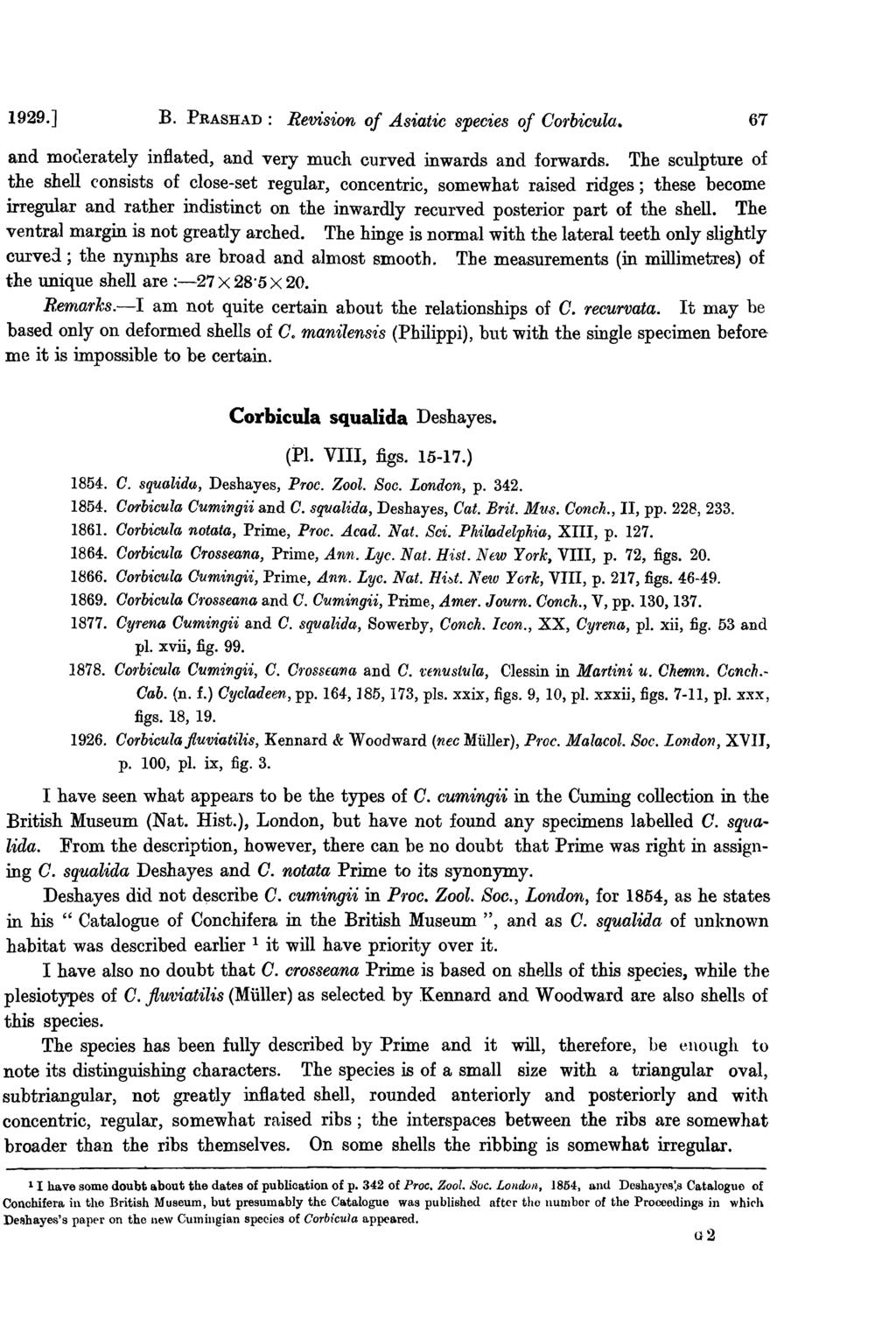 1929.] B. PRASHAD: Revision of Asiatic species of Corbicula. 67 and moderately inflated, and very much curved inwards and forwards.