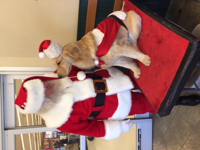 Page 4 The Story of Santa Dog (coming to Ortonville and Flushing!