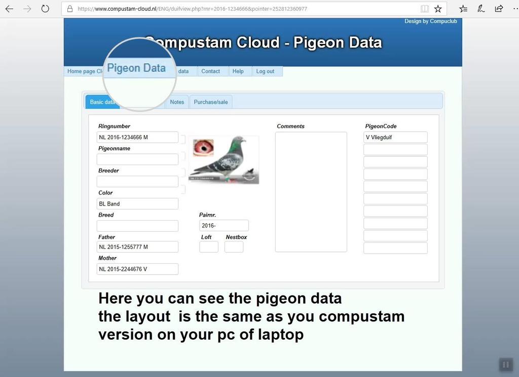 Compustam Cloud Pigeon data If you do not know how to enter this information correctly, please take a look at our website manuals for the Compustam 2017 manual.