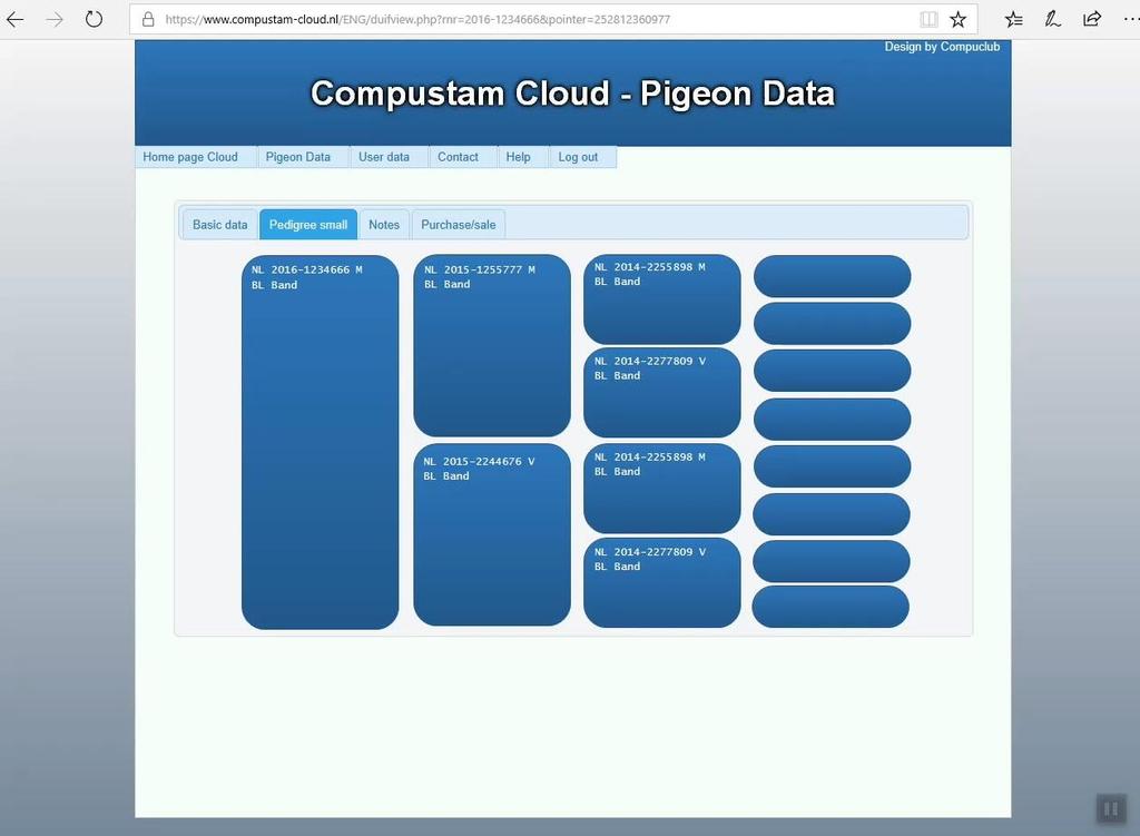 Compustam Cloud Pigeon data Pedigree small If you click small on the