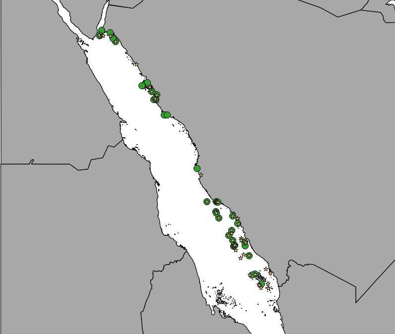 1 2 Saudi Arabia 3 4 Figure 1. Red Sea region showing know nesting sites in the Kingdom Saudi Arabia.